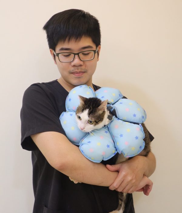 我與金吉,影響我獸醫生涯最大的孩子,攝於2018年夏天。